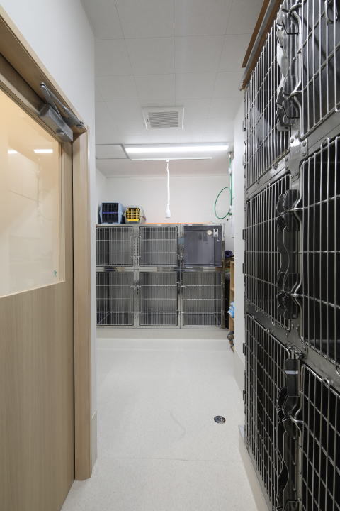 動物病院設計・動物病院新規開業・動物病院...