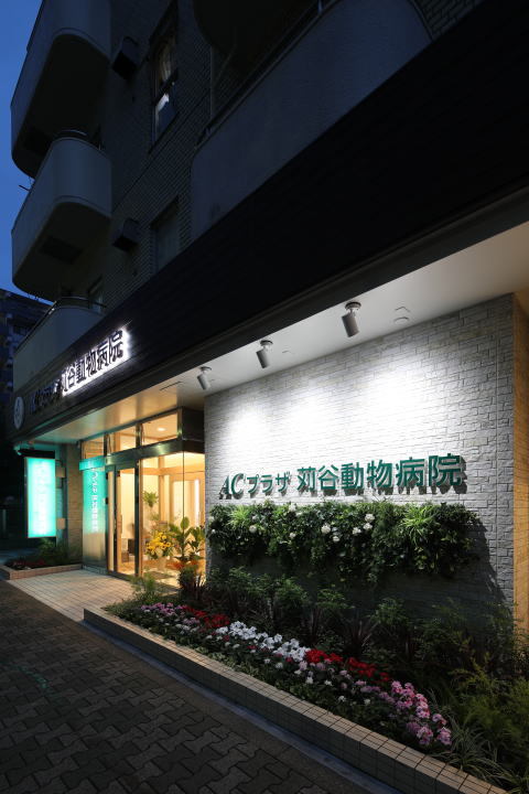 動物病院設計・動物病院新規開業・動物病院...