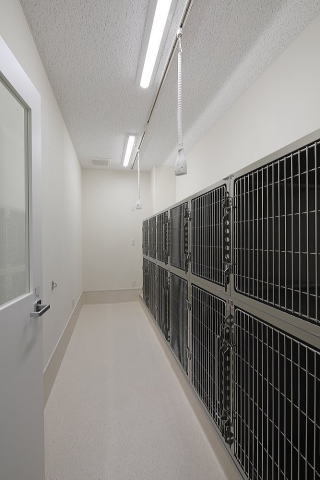 動物病院設計・動物病院新規開業・動物病院...