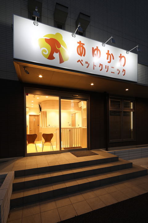 動物病院設計・動物病院新規開業・動物病院...