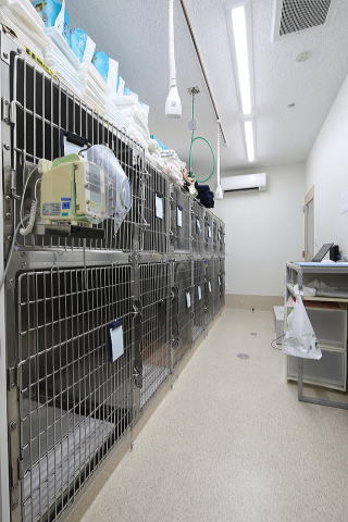 動物病院設計・動物病院新規開業・動物病院...