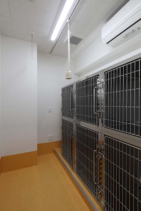動物病院設計・動物病院新規開業・動物病院...
