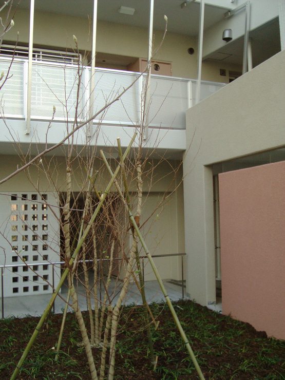 集合住宅　　建築作品　｜　リブ建築設計事...