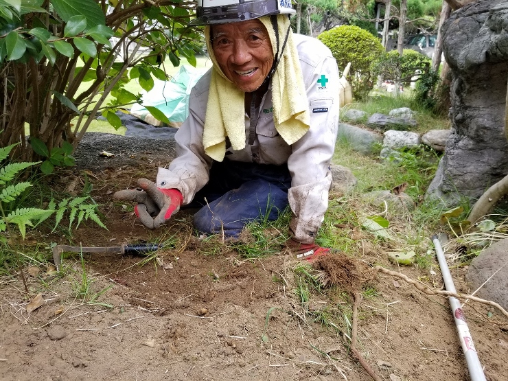 今年一発目の記事は東京都江戸川区Ｉ邸庭園...