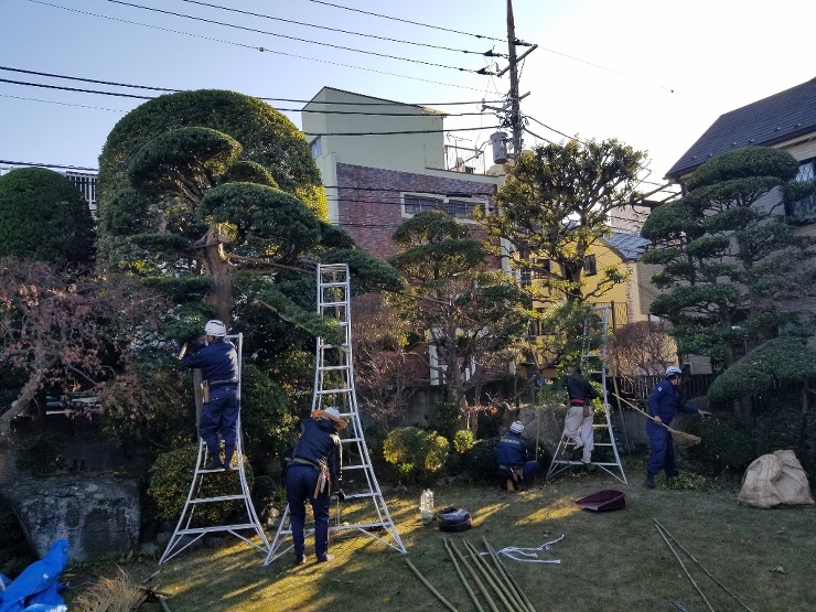 今年一発目の記事は東京都江戸川区Ｉ邸庭園...