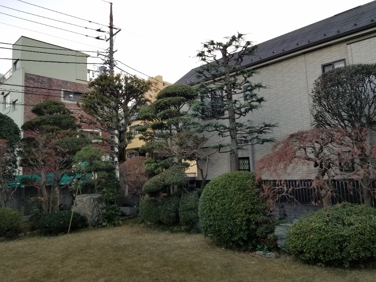 今年一発目の記事は東京都江戸川区Ｉ邸庭園...