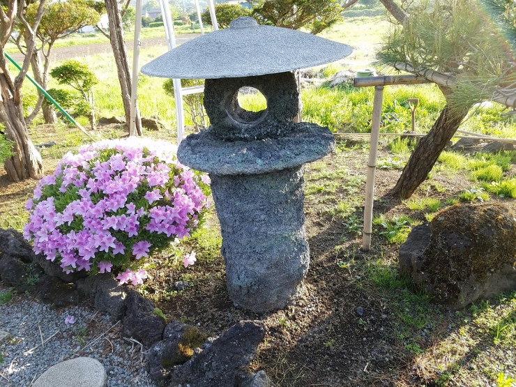 （株）渡城造園（わたじょうぞうえん）メン...