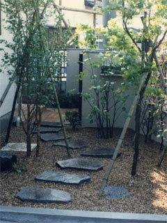 植栽　雑木と飛石