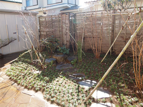 雑木の庭　　/造園・庭造りは、千葉市の植...