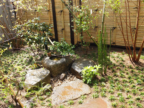 雑木の庭　　/造園・庭造りは、千葉市の植...