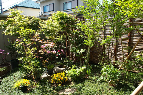 雑木の庭　　/造園・庭造りは、千葉市の植...