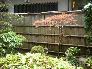 建仁寺垣　１４年後