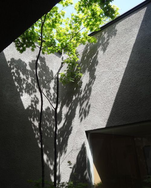 吉野町の家　一年点検 | 株式会社SYN...