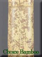 Choice Bamboo