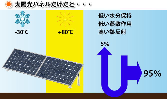 太陽光発電と屋上緑化を共存することで更に...
