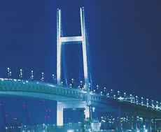 弾性シール材（主に橋梁の伸縮継手・鋼製フ...