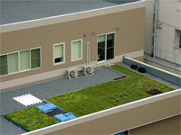 屋上緑化効果測定試験施設