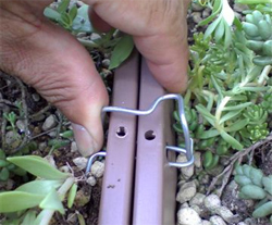 屋上緑化業界初ワンタッチ施工が可能なVUS500