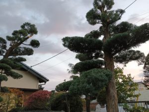 静岡県沼津市で造園と外構工事を行う株式会...