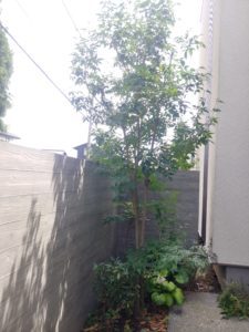 静岡県沼津市で造園と外構工事を行う株式会...