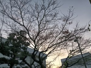 静岡県沼津市で造園と外構工事を行う株式会...