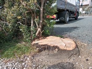 静岡県沼津市で造園と外構工事を行う株式会...