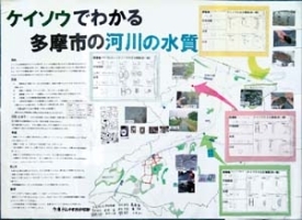作品：ケイソウでわかる多摩市の河川の水質