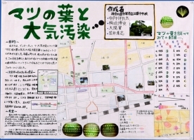 作品：マツの葉と大気汚染
