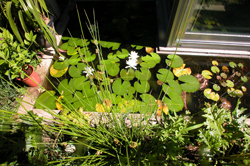 Y-House　ギャラリー　アトリエ　オ...