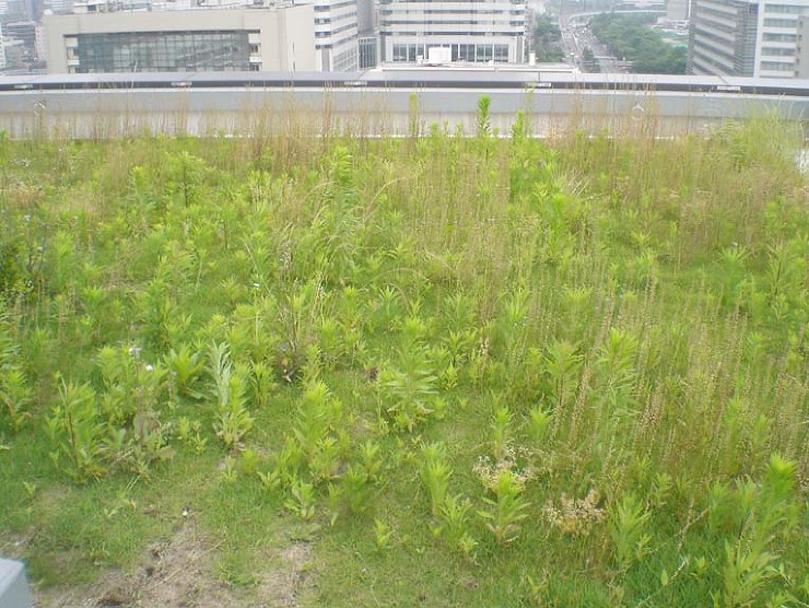 民間事業のマンション緑地管理 | 藤沢造...