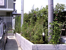 民間事業のマンション緑地管理 | 藤沢造...