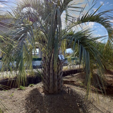 Play Garden（株式会社プレイガ...