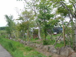 和風庭園施工例９(傾斜地の竹垣設置)山形...