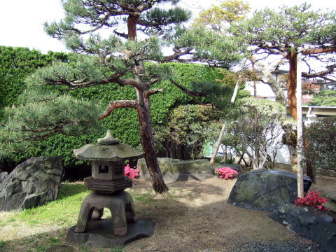 和風庭園施工例５(藤棚のある中庭)山形市...