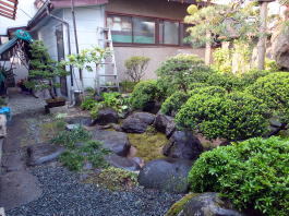 坪庭施工例１１(古池を苔と庭石で坪庭にリ...