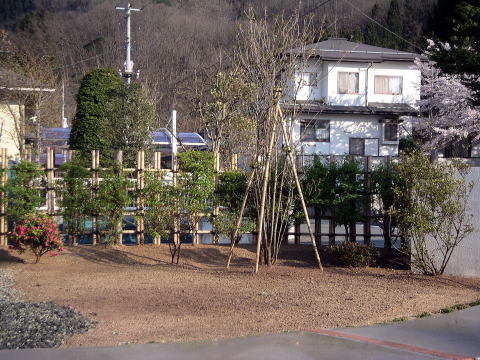洋風庭園施工例３(生垣とヤマボウシを中心...