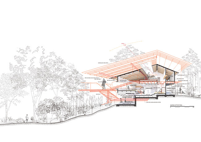 Eureka | Eagle Woods House_Sectional perspective