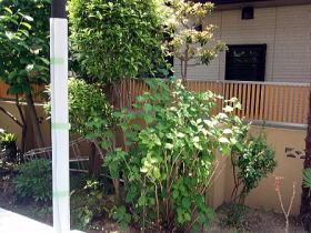 お庭の名工.com｜株式会社　田中造園土...