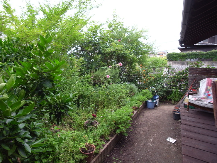 実り多く　自然を楽しめる庭　廿日市市|広...