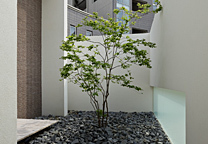 愛知 名古屋 :architect6建築...