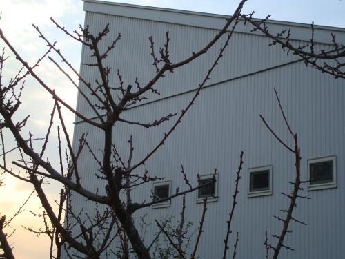 住宅・福祉施設・店舗・事務所【設計実績・...