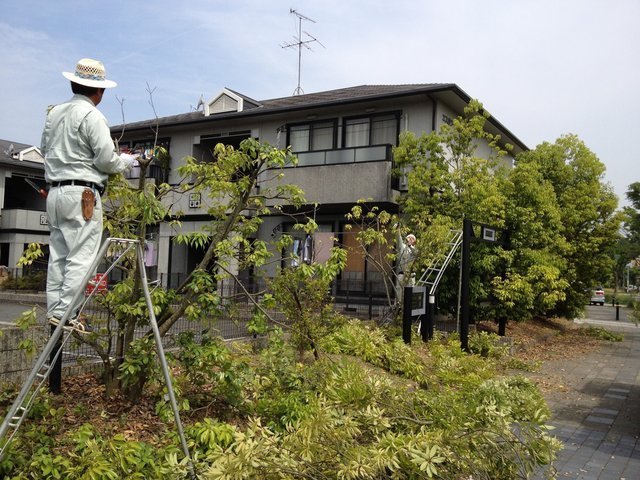 庭園維持管理作業等