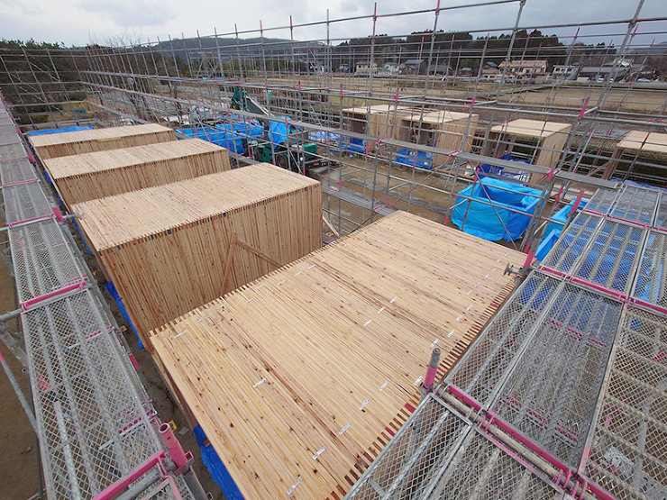 DLT Permanent Timber...