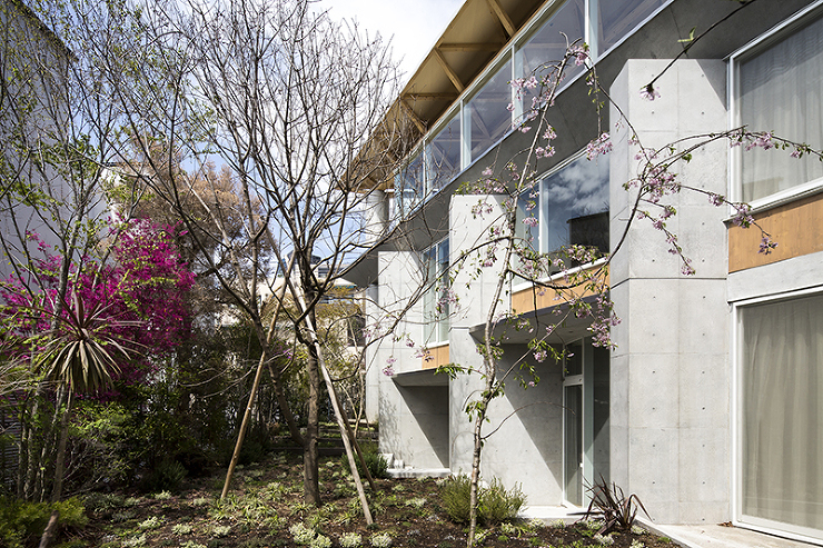 Triangle House - Shi...