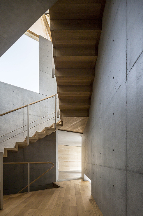 Triangle House - Shi...