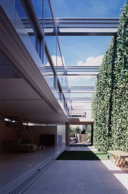 Ivy Structure 1 - Sh...