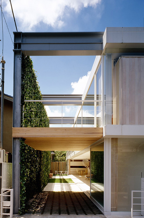 Ivy Structure 1 - Sh...