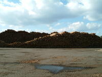 自然素材の家づくり[長野県上田市発]健康...