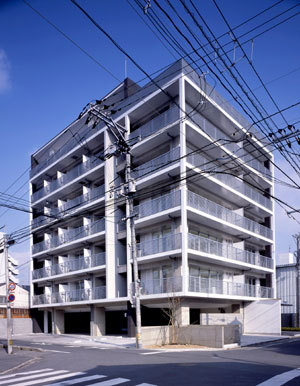 photo6