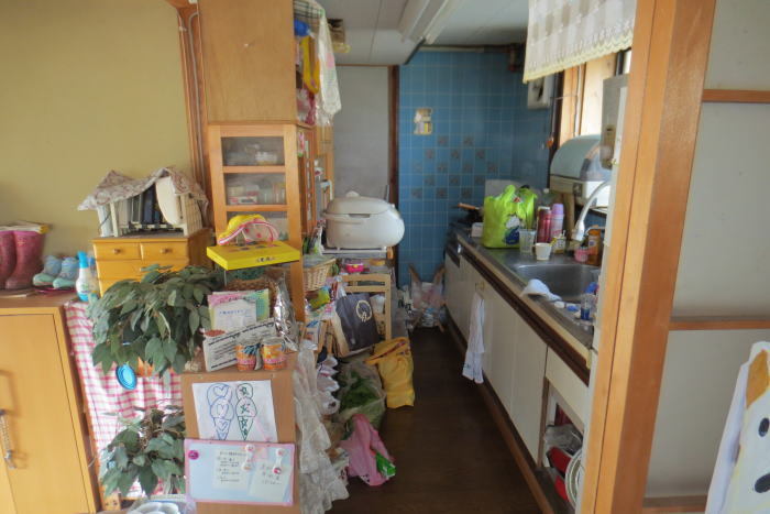 beforeafter-s66iked-14